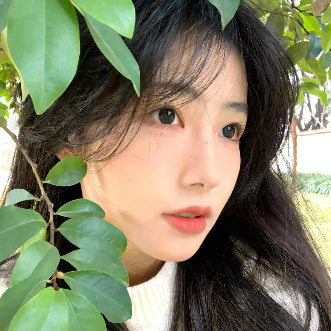 兰闺飞凤